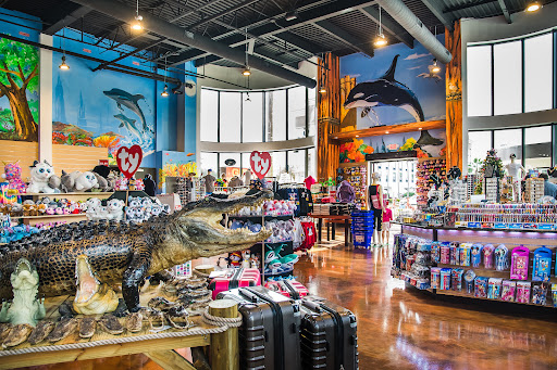 Treasure Island Gift Shop
