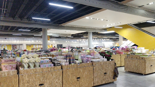 Bayamón Shopping Center