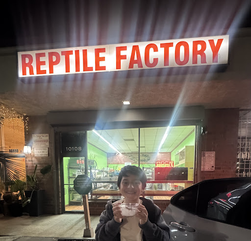 REPTILE FACTORY