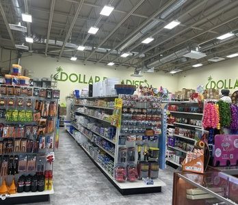 Paraíso del Dólar: Imagen de abundancia, riqueza y oportunidades financieras