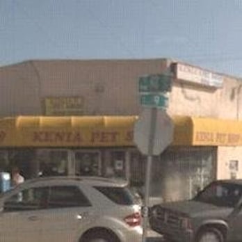 Descubre la tienda de mascotas de Kenia: los mejores accesorios y alimentos