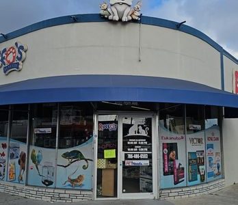 Ruffo’s Pet Club – Club de mascotas premium, estilo y diversión para perros y gatos