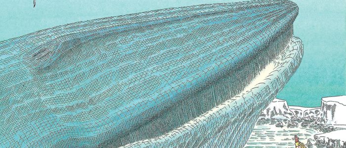 Ballena azul gigante: impresionante fotografía de la gran ballena azul en su hábitat natural