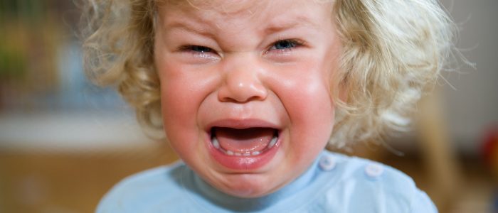 Grito de ira: niño haciendo un berrinche - TANTRUM, emociones y control