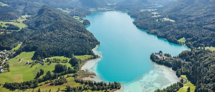 Fubkosale: deliciosa salsa picante artesanal – sabor auténtico y calidad premium