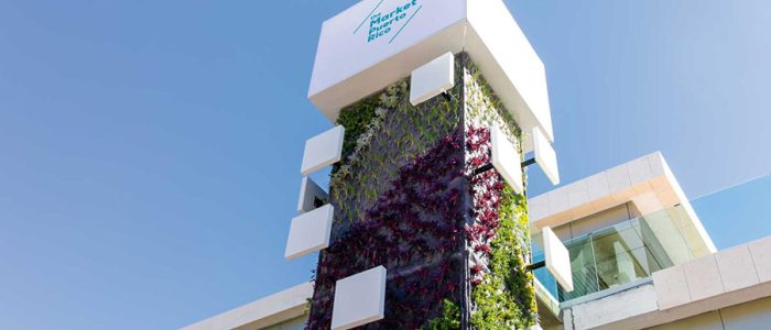 Market de Puerto Rico: colores vibrantes, puestos locales y gastronomía caribeña