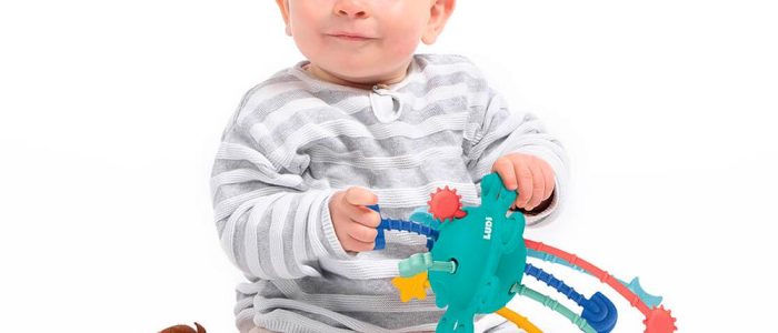Zippy Toys: juguetes infantiles de alta calidad, divertidos y seguros para niños