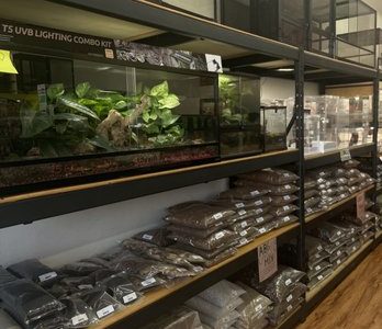 Fábrica de Reptiles: Criaderos de Serpientes, Lagartos y Tortugas - Reptile Factory