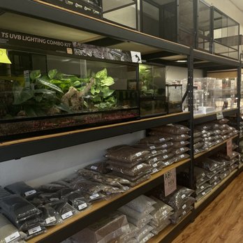 Fábrica de Reptiles: Criaderos de Serpientes, Lagartos y Tortugas - Reptile Factory
